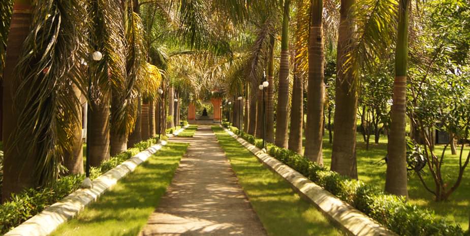 Buddha Maya Gardens Resort