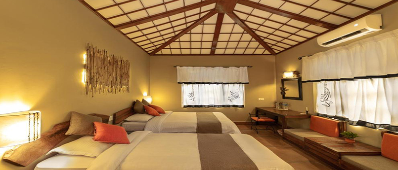 Standard Double Room With Chitwan Tour