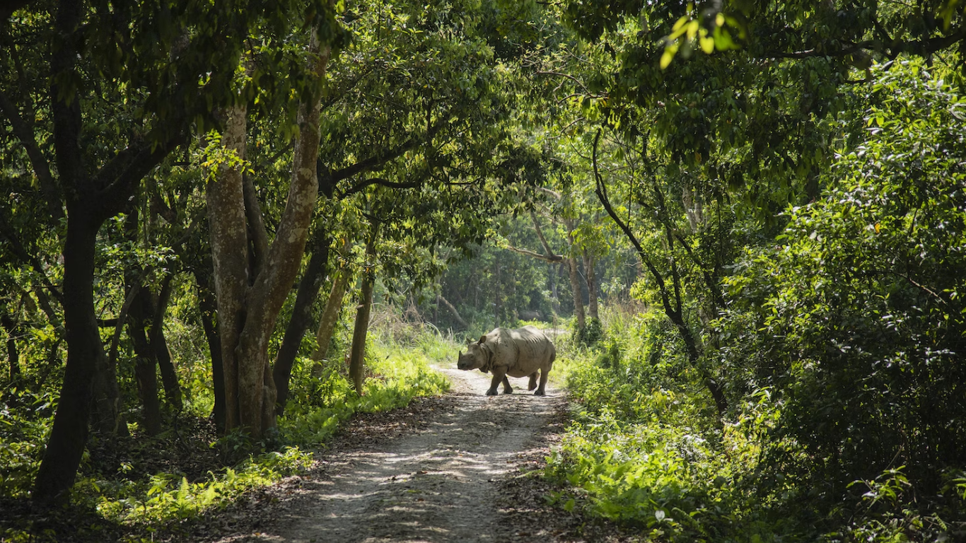 Nepal Tibet Tour Package