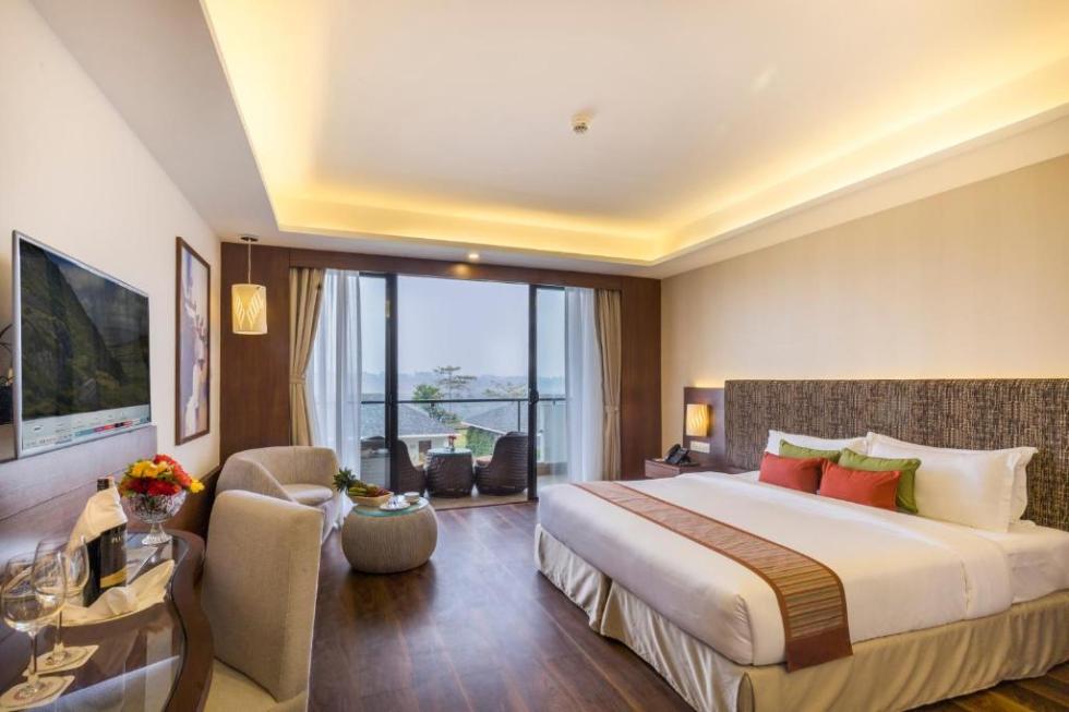 Deluxe Double or Twin Room