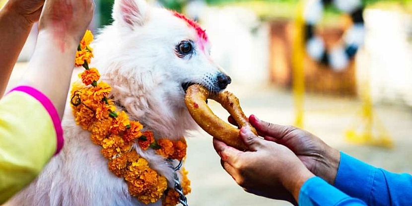 Tihar / Dipawali / Diwali festival